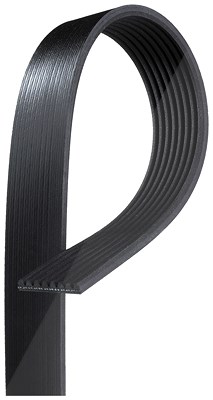 Gates Keilrippenriemen [Hersteller-Nr. 8PK1475] für BMW von GATES