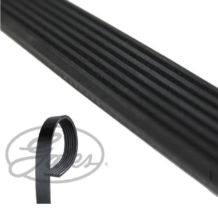 Gates Keilrippenriemen Dacia Logan Land Rover Freelander Nissan Kubistar Gates Keilrippenriemen Dacia Logan Land Rover Freelander Nissan Kubistar von GATES