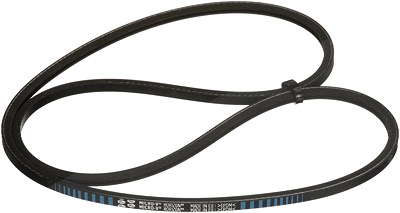 Gates Keilrippenriemen [Hersteller-Nr. 2PJ845] für VW von GATES