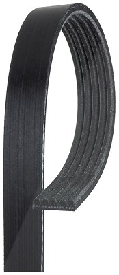 Gates Keilrippenriemen [Hersteller-Nr. 5PK716SF] für Mazda von GATES