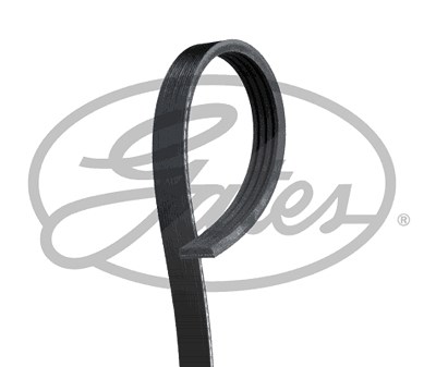 Gates Keilrippenriemen [Hersteller-Nr. 4PK788SF] für Chevrolet von GATES
