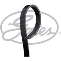 Keilrippenriemen GATES 4PK1008HD Keilrippenriemen GATES 4PK1008HD von Gates