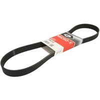 Keilrippenriemen GATES 7PK1113 Keilrippenriemen GATES 7PK1113 von Gates