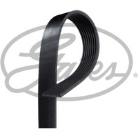 Keilrippenriemen GATES 8PK2080HD Keilrippenriemen GATES 8PK2080HD von Gates