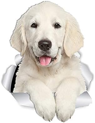 2PCS Golden Retriever 3D Hundeaufkleber Für Auto Laptop Gepäck Kühlschrank Tür Dekor wasserdichte Lustige Auto Stoßfänger Aufkleber Aufkleber Aufkleber Aufkleber 2PCS Golden Retriever 3D Hundeaufkleber Für Auto Laptop Gepäck Kühlschrank Tür Dekor wasserdichte Lustige Auto Stoßfänger Aufkleber Aufkleber Aufkleber Aufkleber von GENMIP