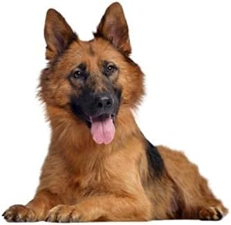 GENMIP (2-teilig) Autoaufkleber, 15 cm, Deutscher Schäferhund, Wasserdichter Hundeaufkleber, Vinyl, Autofolie, Für Motorhaube, Laptop, Heimdekoration, Abziehbilder von GENMIP