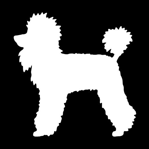 GENMIP 12,4 * 12,7 cm Pudel Hund Niedlichen Tier Vinyl Aufkleber Klassische Kreative Cartoon Auto Aufkleber GENMIP 12,4 * 12,7 cm Pudel Hund Niedlichen Tier Vinyl Aufkleber Klassische Kreative Cartoon Auto Aufkleber von GENMIP