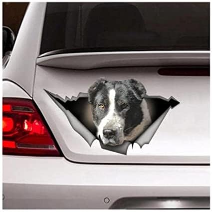 GENMIP 22 cm, Schwarz-weißer Alabai-Aufkleber, Autoaufkleber, Haustieraufkleber, Hundeaufkleber, Schwarz-weißer Alabai-Aufkleber (Hg1Fs13470) von GENMIP