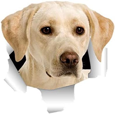 GENMIP 2pcs 13 cm X 12,6 cm Hunde Vinyl Aufkleber Zerrissene Metall -Aufkleber -Autoaufkleber Fenster Stoßfänger Haustierhundauto Styling GENMIP 2pcs 13 cm X 12,6 cm Hunde Vinyl Aufkleber Zerrissene Metall -Aufkleber -Autoaufkleber Fenster Stoßfänger Haustierhundauto Styling von GENMIP