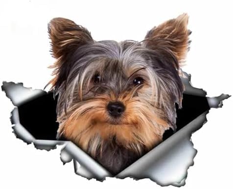GENMIP 2pcs Haustierhund Styling Persönlichkeit Aufkleber Zerrissene Metall Vinyl -Aufkleber Tierwagen Aufkleber Fenster Stoßfänger 20 cm Auto Aufkleber Auto Aufkleber Aufkleber Aufkleber GENMIP 2pcs Haustierhund Styling Persönlichkeit Aufkleber Zerrissene Metall Vinyl -Aufkleber Tierwagen Aufkleber Fenster Stoßfänger 20 cm Auto Aufkleber Auto Aufkleber Aufkleber Aufkleber von GENMIP