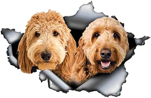 GENMIP Alanz 13 cm X 8,5 cm Hundauto Aufkleber Zerrissene Metall -Aufkleber -Aufkleber Fenster Auto Stoßfänger Dekoration Hund Aufkleber GENMIP Alanz 13 cm X 8,5 cm Hundauto Aufkleber Zerrissene Metall -Aufkleber -Aufkleber Fenster Auto Stoßfänger Dekoration Hund Aufkleber von GENMIP