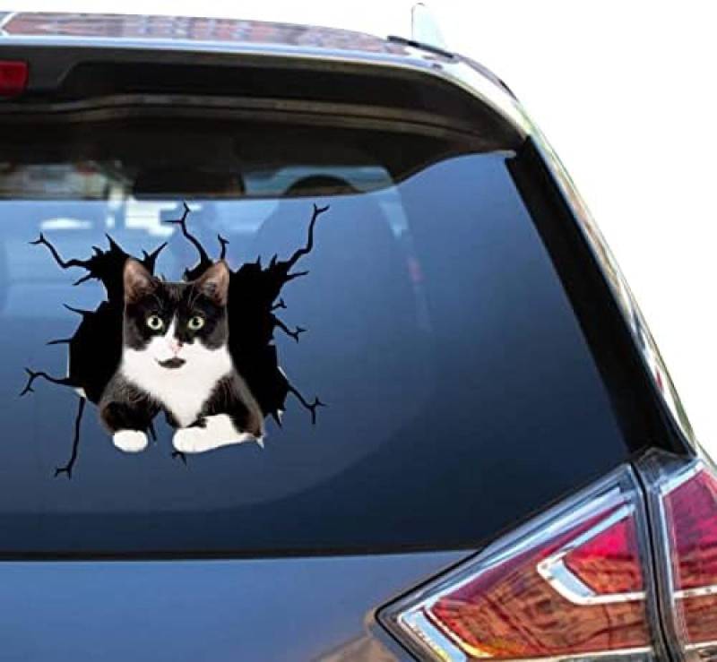 GENMIP Kamelien-Druck, Smoking-Katzen-Aufkleber, Tablet-Katzen-Aufkleber, Niedliche Gestanzte Traktor-Aufkleber Für Zitate, Stoßstange, Outdoor-Aufkleber von GENMIP