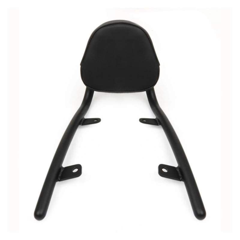 GERLJ Motorrad-Heckträger Fury VT1300CX VT1300 CX VT 1300 CX 2010-2021 2020 Motorrad-Beifahrerrückenlehne für Sissy Bar für mit Kissenpolster(1) von GERLJ