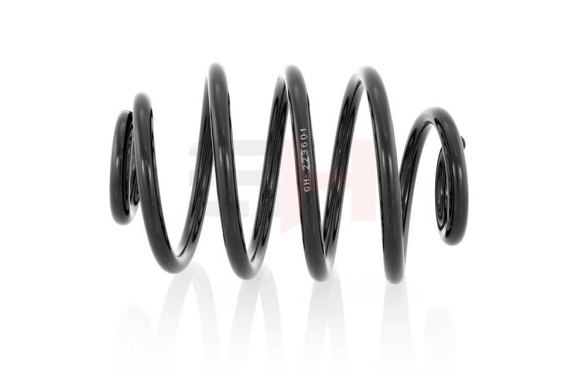 GH - GH-223601 1x Feder Hinten Rechts=Links von GH