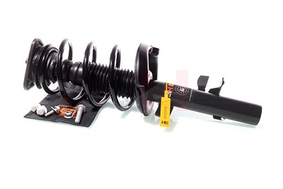 Gh 2x Federbein für Ford von GH