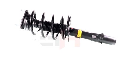 Gh 2x Federbein für Ford von GH