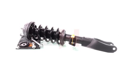 Gh Federbein [Hersteller-Nr. GH-334790C01] für VW von GH