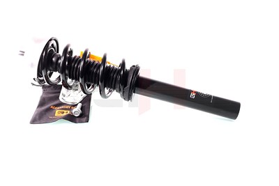 Gh Federbein komplett vorne [Hersteller-Nr. GH-351585C01] für BMW von GH