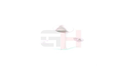Gh Reparatursatz, Federbeinstützlager [Hersteller-Nr. GH-363550] für Hyundai, Kia von GH