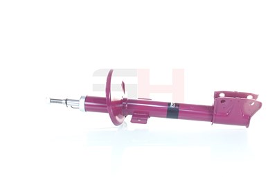 Gh Stoßdämpfer [Hersteller-Nr. GH+353998] für Dacia, Renault von GH
