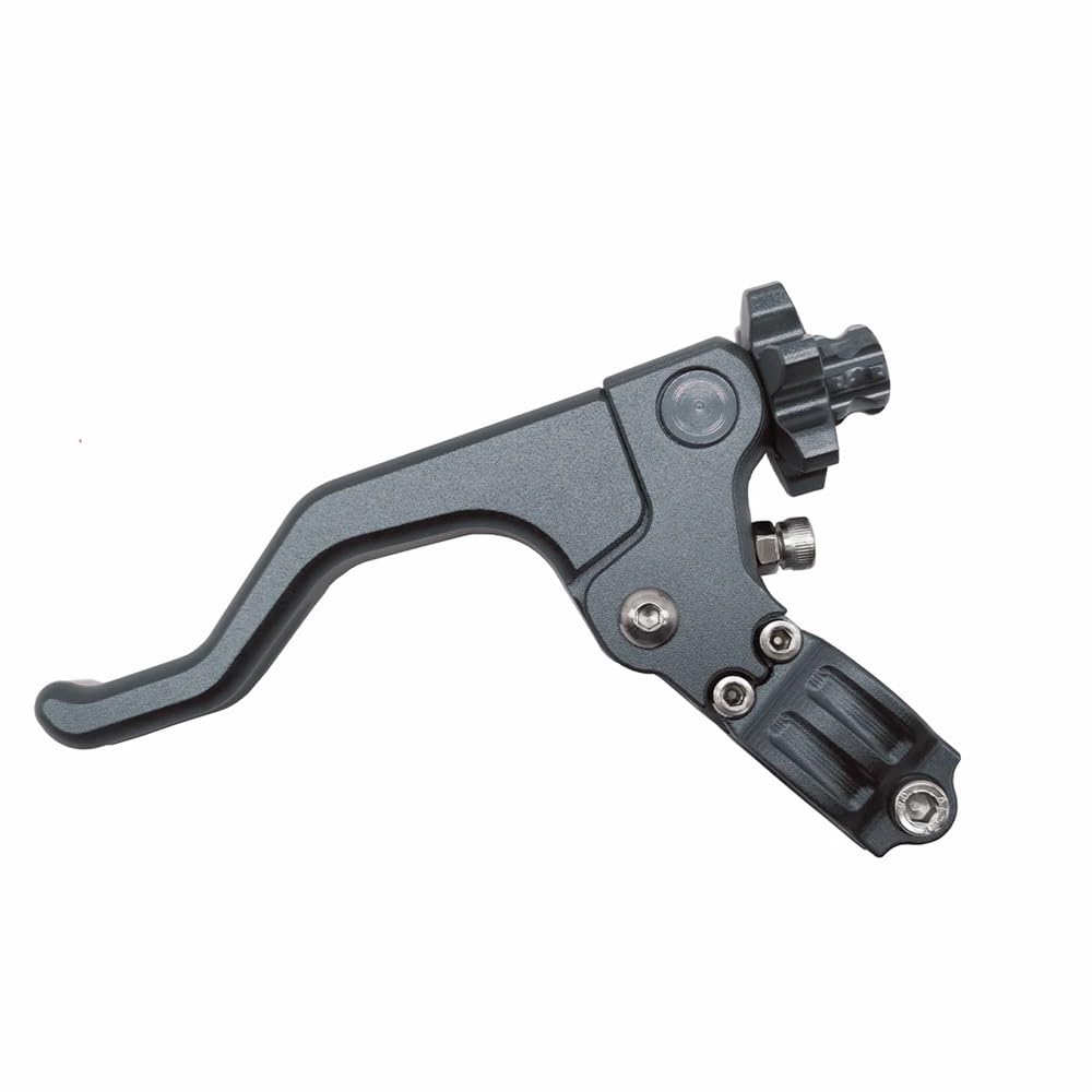 Motorradkupplungsgriff Für CBR 600 F2 F3 F4 F4i 650F CBR1000RR CRF250R CRF450R CRF250L CRF250M CRF 250X 450X CR 125R Kurze Stunt Kupplung Hebel(Titanium) von GHALSIEAV