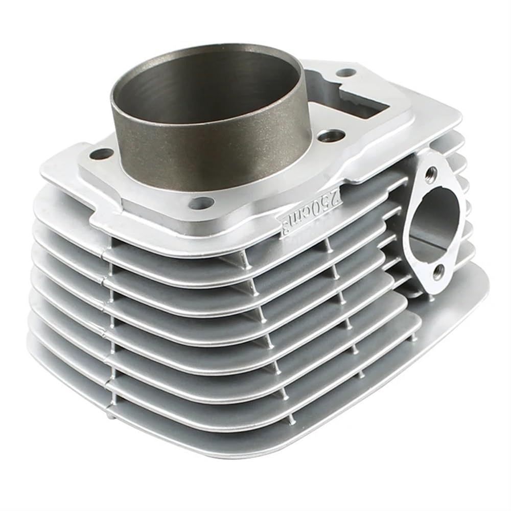 Kompatibler Zylinderblock 66mm Kompatibel mit SL230 1997-2014 CRF230 FTR223 XR230 Motorradmotorzubehör Kompatibler Zylinderblock 66mm Kompatibel mit SL230 1997-2014 CRF230 FTR223 XR230 Motorradmotorzubehör von GHJtRs