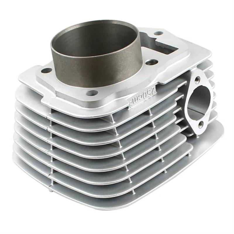 Kompatibler Zylinderblock 66mm Kompatibel mit SL230 1997-2014 CRF230 FTR223 XR230 Motorradmotorzubehör von GHJtRs