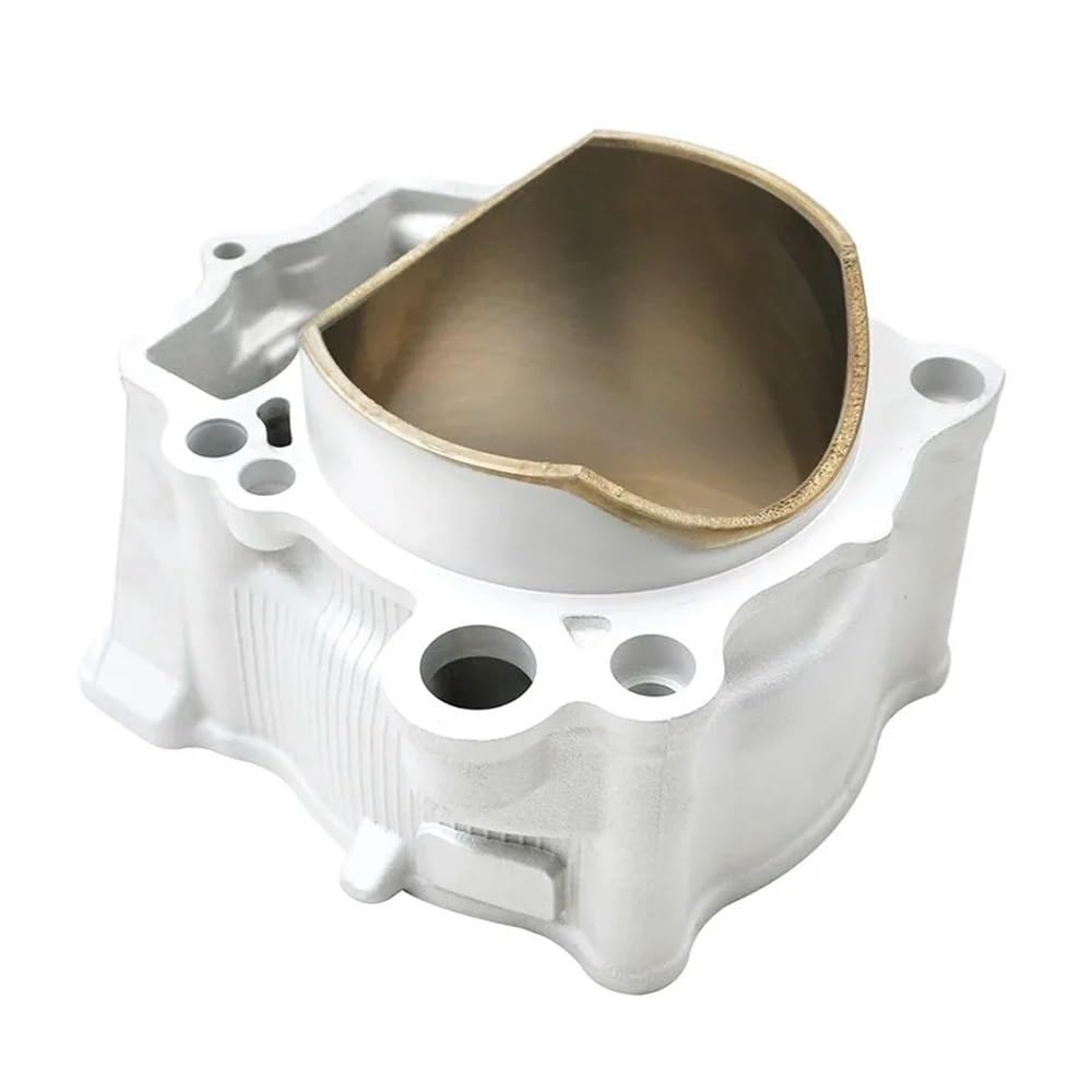 YZ450F YZ450 WR450F WR450 Motorradmotor Zylinderkolbenringdichtung Kit 95 mm Bohrung(CYLINDER KIT) von GHJtRs