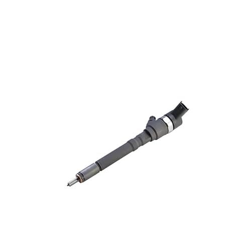 0445110064 kompatibel mit Common-Rail-Injektor der Serie 110 HYUNDAI Santa FE 2.0 Matrix 1.5 CRDi Elantra 2.0 CRDi ZCLKA15H25 von GHZMKCYPQ
