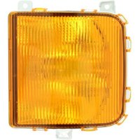 Blinkleuchte GIANT 131-MA20250U von GIANT