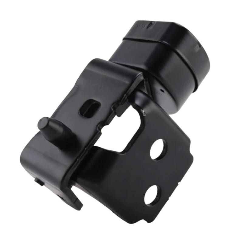 GLILAR Auto Türbremse Kompatibel Mit Citroen Für C5 III 2008 2009 2010 2011 2012 2013 2014 2015 2016 2017 2018 Türscharnierstopp-Kontrollband Vorne Links Vorne Hinten 9035W9 von GLILAR