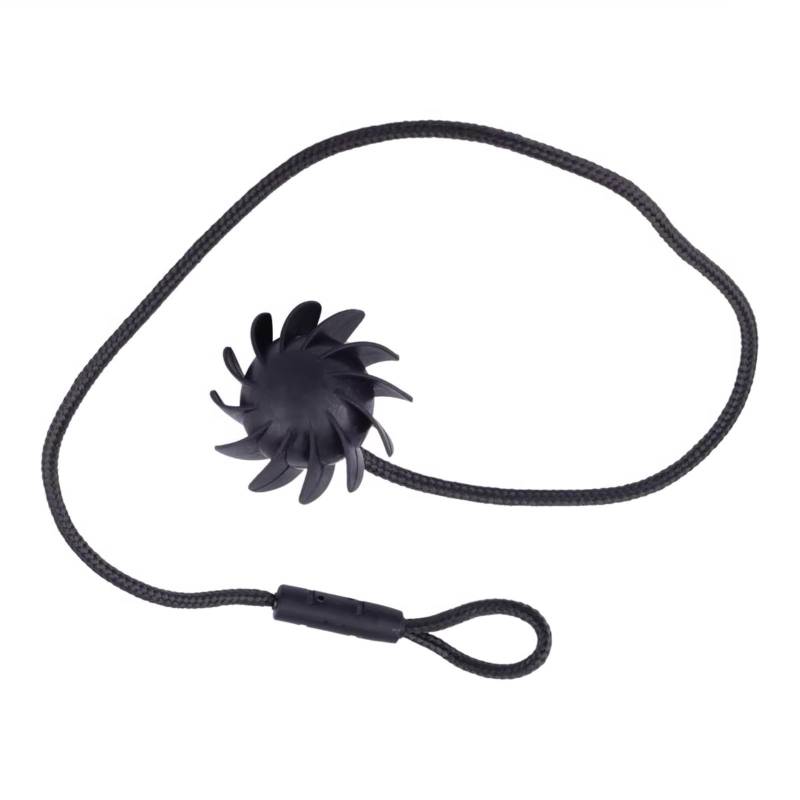 GLILAR Halteband Hutablage Kompatibel Mit Seat Für MII 2012 2013 2014 2015 2016 2017 2018 Auto-Heckkofferdeckel-Lanyard Heckklappen-Gepäckregal-Befestigungsschnur 5G6898780 von GLILAR