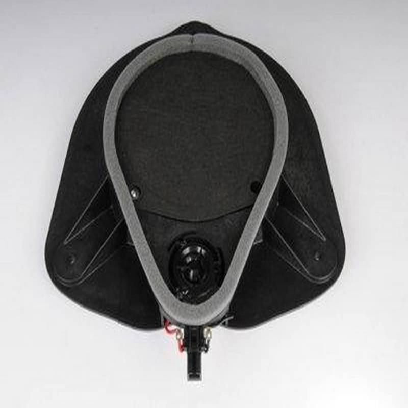 ACDelco 10366739 GM Original Equipment Front Door Radio Speaker von GM GENUINE PARTS