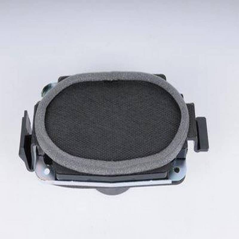GM ACDelco 15756874 Original Equipment Heck-Radio Lautsprecher von GM