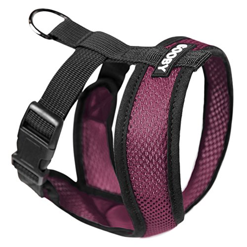 GOOBY Hundegeschirr in frei Komfort X Soft Hundegeschirr, groß, Violett GOOBY Hundegeschirr in frei Komfort X Soft Hundegeschirr, groß, Violett von GOOBY