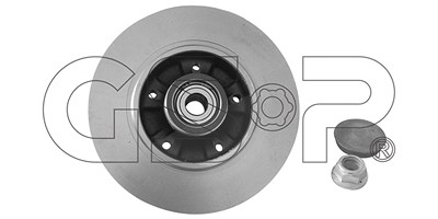 Gsp 1x Bremsscheibe Hinterachse +Radlager Voll [Hersteller-Nr. 9225038K] für Renault von GSP
