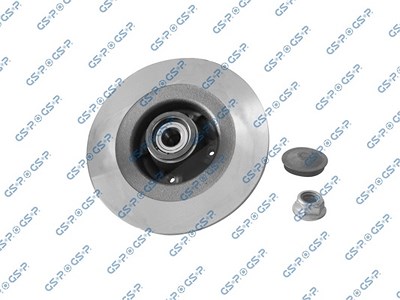 Gsp 1x Bremsscheibe hinten +Radlager+ABS-Ring [Hersteller-Nr. 9225041K] für Renault von GSP