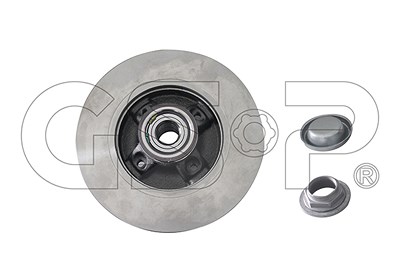 Gsp Bremsscheibe Hinten Voll mit Radlager [Hersteller-Nr. 9230148K] für Citroën, Peugeot von GSP