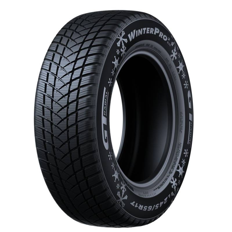 GT-RADIAL WINTERPRO2 205/55R16 91T BSW von GT-RADIAL