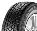 Champiro Winterpro 2 von GT Radial