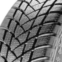 GT Radial Champiro Winterpro 2 (175/65 R14 82T) von GT Radial