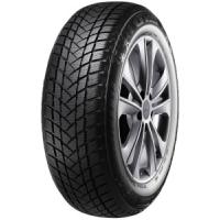 GT Radial WinterPro2 (225/50 R17 98V) von GT Radial