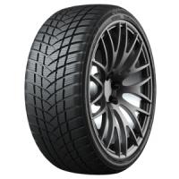 GT Radial WinterPro2 Sport (225/45 R17 94V) von GT Radial