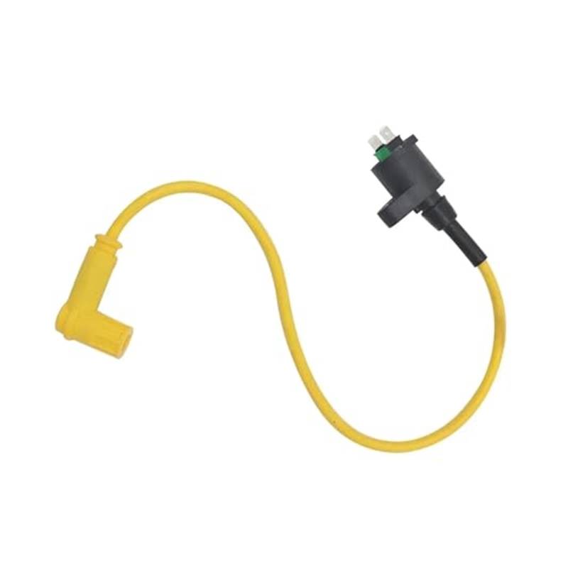 Für Dirt Pit Bike Für Moped Für ATV Für Go Kart Für Quad Buggy 50cc-250cc Zündspule Pack Motorrad Racing Zündspule CDI Zündspule(Yellow) von GTDTKGANAK