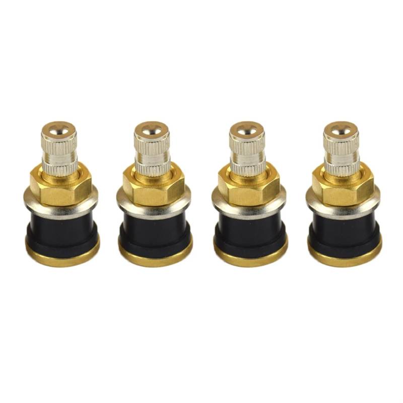 GTSZAA [Replacement] 4 Stück TR575 LKW-Reifenstifte, for Felgenloch 5/8" (16 mm) von GTSZAA