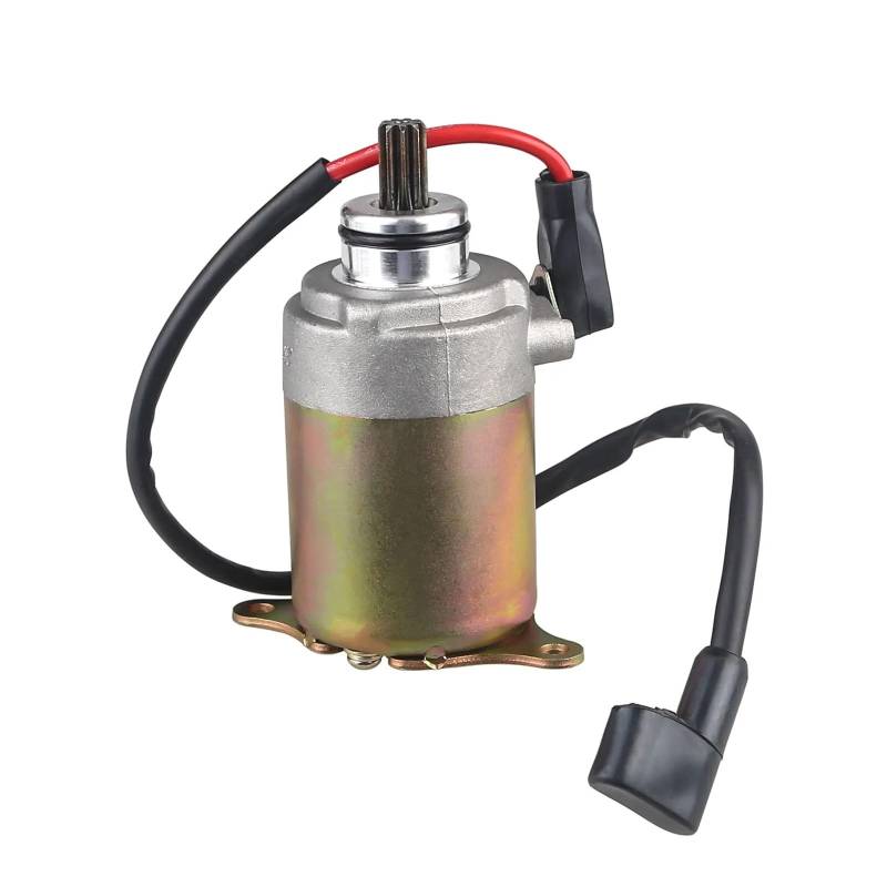 Anlasser kompatibel mit GY6-Motor 150ccm 200ccm 4-Takt for Ba W-ilderness T-ao C-oolst J-onw von GUOFHUIO
