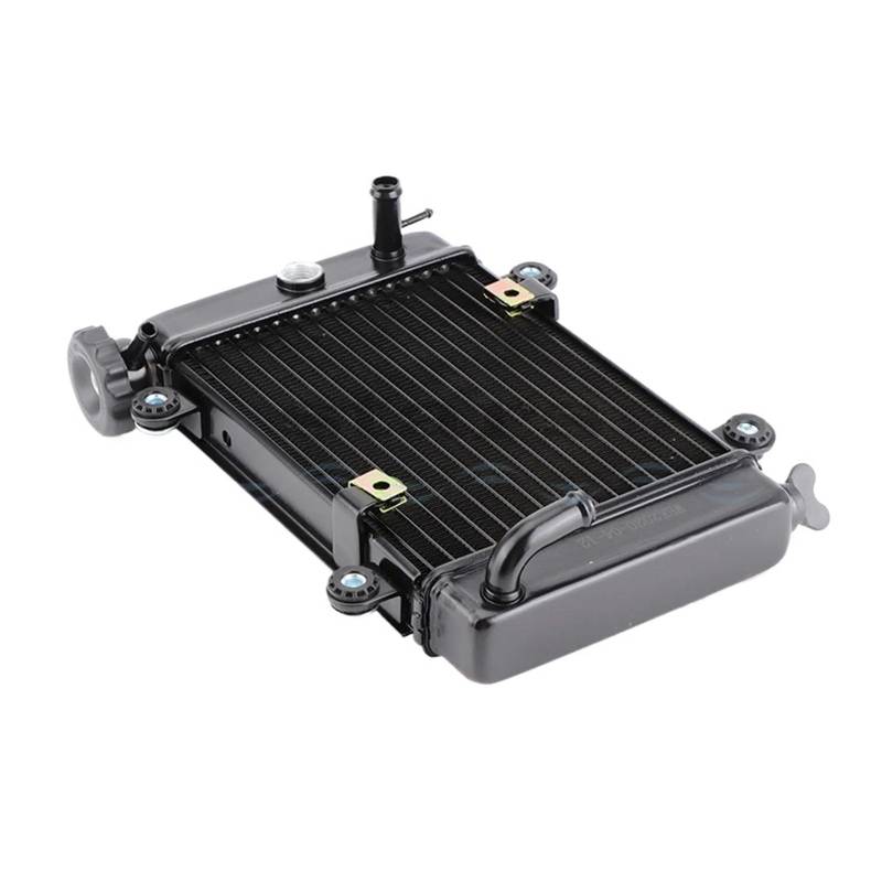 Motorrad Kühler Kühler Kühlwasser Tank Teile Zubehör for Moto Quad 4x4 ATV UTV Dirt Bike 150cc 200cc 250cc von GUOFHUIO