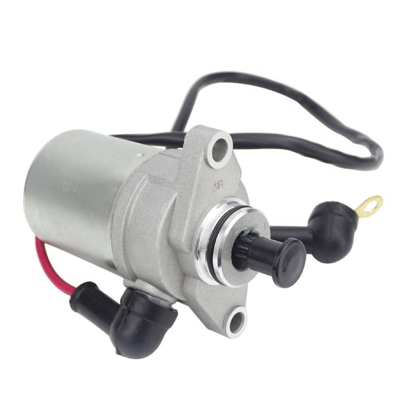 GZYF Anlasser Ersatzmotor aus Metall Silber Für DS70 2010-2013/2017-2018 Motorrad von GZYF