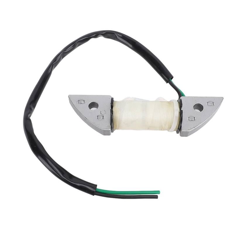 Außenbordmotor Ladung Primärspule 32140 93900 Ladespule für 2 Takt 9,9 PS 15 PS Außenbordmotor Leicht Einfaches Installieren Sie mit hoher Zuverlässigkeit Eisenmaterial von Gavigain