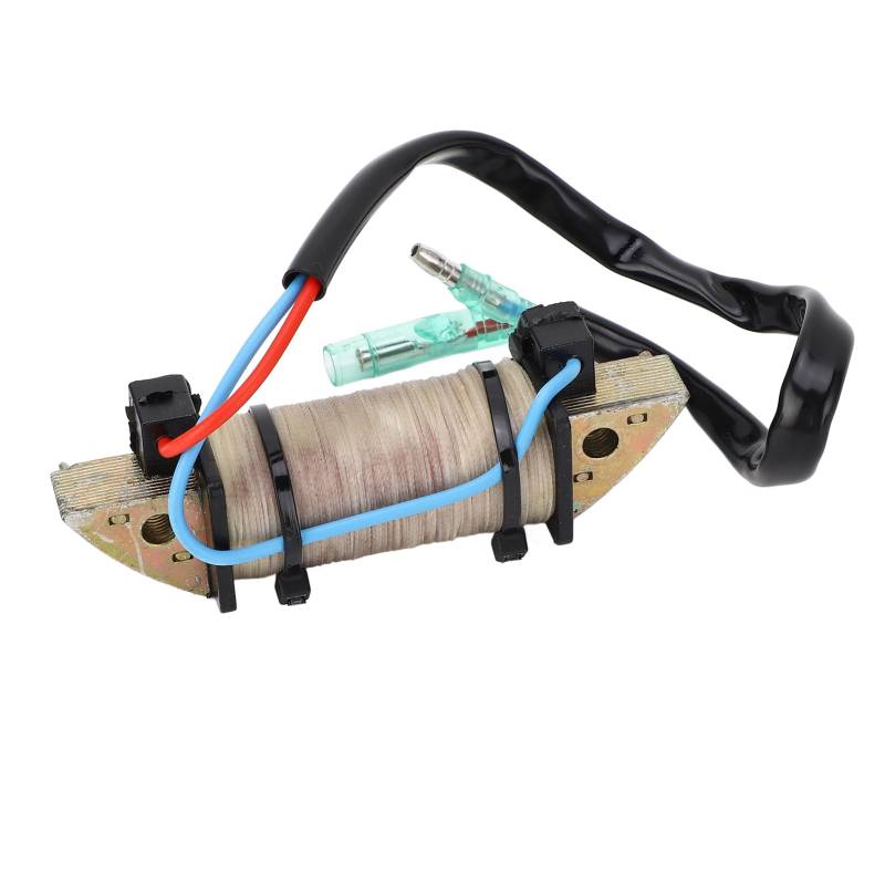 Außenbordmotor Ladungsspule Boat Motorladungsspule für Tohatsu 2 Strich 18 PS 2 Strich 9,9-15 PS Boot Motor von Gavigain